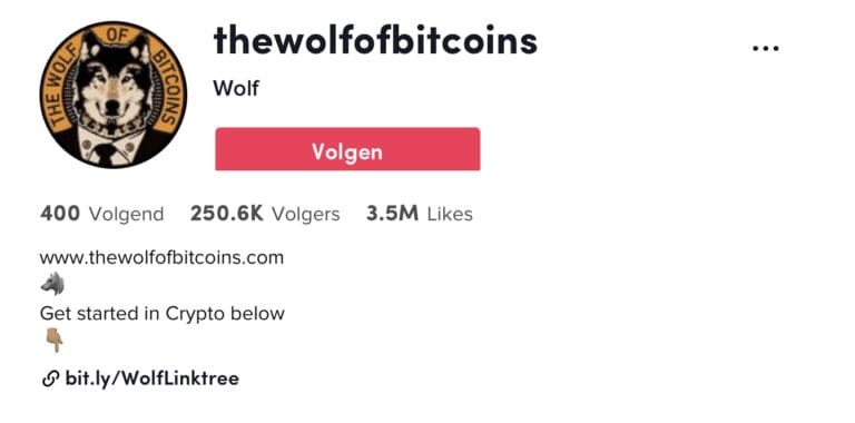 wolfofbitcoincoins-tiktok